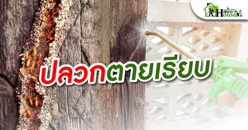ปลวกตายเรียบ