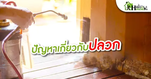 ปัญหาเกี่ยวกับปลวก