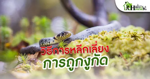วิธีการหลีกเลี่ยงการถูกงูกัด
