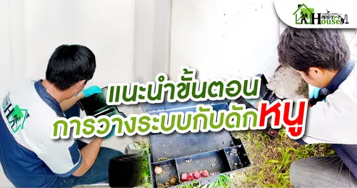 เเนะนำขั้นตอนการวางระบบกับดักหนู