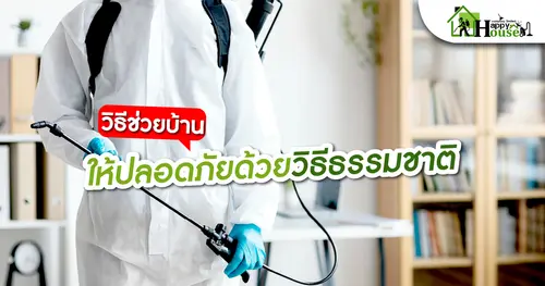 วิธีช่วยบ้านให้ปลอดภัยด้วยวิธีธรรมชาติ