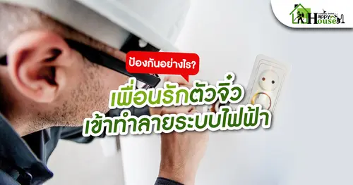 เพื่อนรักตัวจิ๋วเข้าทำลายระบบไฟฟ้า
