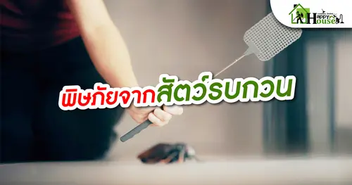 พิษภัยจากสัตว์รบกวน