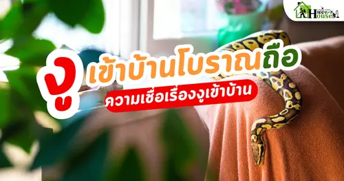 งูเข้าบ้านโบราณถือ