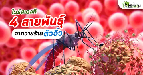 ไวรัสเดงกี4สายพันธุ์ จากวายร้ายตัวจิ๋ว