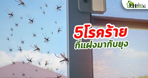 5โรคร้าย ที่แฝงมากับยุง