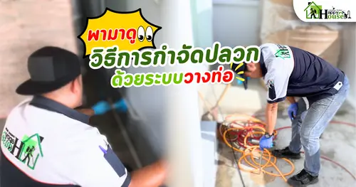 พามาดู วิธีการกำจัดปลวก ด้วยระบบวางท่อ