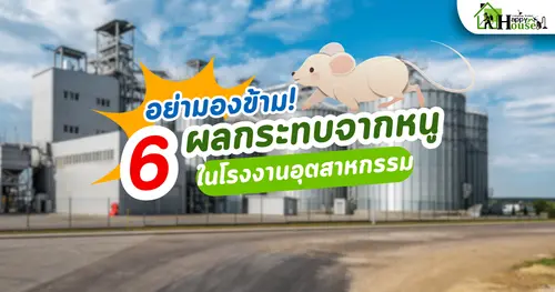  6 ผลกระทบจากหนูในโรงงานอุตสาหกรรม