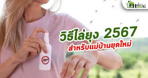 วิธีไล่ยุง2567 สำหรับแม่บ้านยุคใหม่