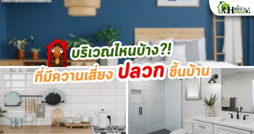 บริเวณไหนบ้าง มีความเสี่ยงปลวกขึ้นบ้าน
