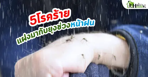 5 โรคร้ายจากยุง