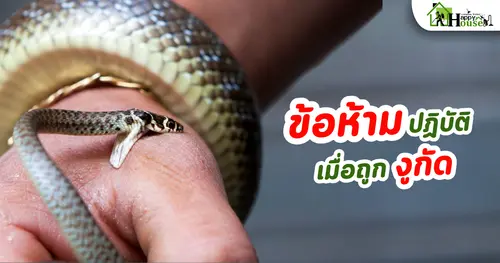 ข้อห้ามปฎิบัติ เมื่อถูกงูกัด 