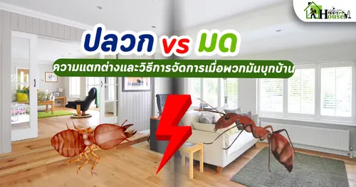 ปลวก กับ มด ความแตกต่างและวิธีการจัดการเมื่อพวกมันบุกบ้านคุณ
