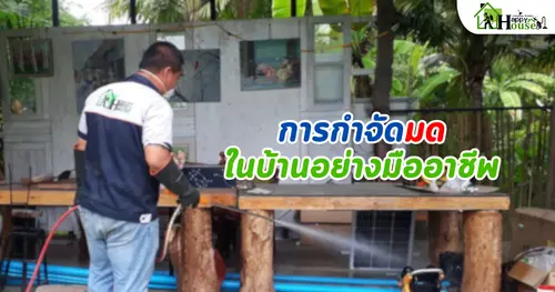 การกำจัดมดในบ้านอย่างมืออาชีพ: เคล็ดลับที่คุณควรรู้ | บริการกำจัดแมลงที่ได้ผล