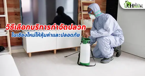 วิธีเลือกบริการกำจัดปลวกในเชียงใหม่ให้คุ้มค่าและปลอดภัย