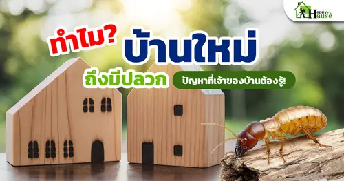 ทำไมบ้านใหม่ถึงมีปลวก ปัญหาที่เจ้าของบ้านต้องรู้