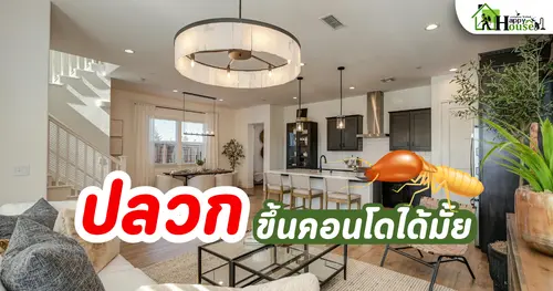 ปลวกขึ้นคอนโดได้ไหม