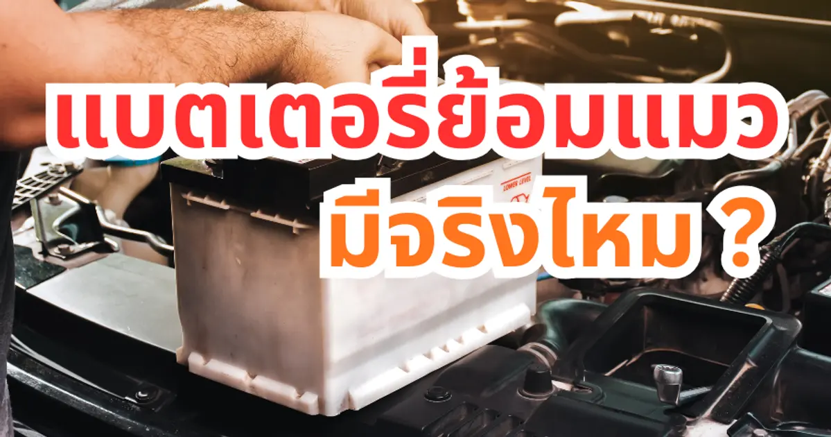 แบตเตอรี่ย้อมแมวมีจริงไหม?