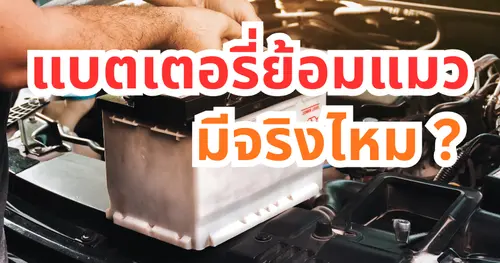 แบตเตอรี่ย้อมแมวมีจริงไหม?
