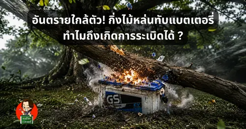 อันตรายใกล้ตัว! กิ่งไม้หล่นทับแบตเตอรี่ ทำไมถึงเกิดการระเบิดได้