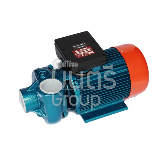 ปั๊มน้ำ 2HP 2" ARENO DS-2M