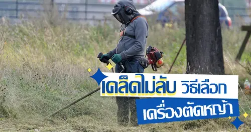 เคล็ดไม่ลับ วิธีเลือกเครื่องตัดหญ้า