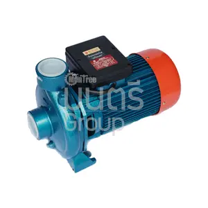 ปั๊มน้ำ 2HP 2" ARENO DS-200B