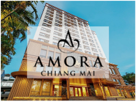 Amora 