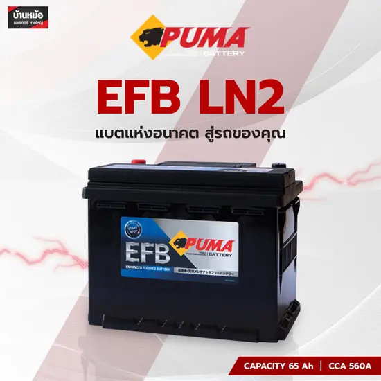 PUMA EFB LN2