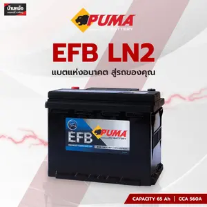 PUMA EFB LN2