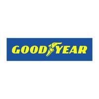 Good Year Good Year