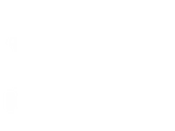 The Fit Bear Academy & Gym 